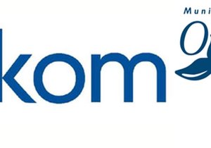 Monitoring and verification of geyser 